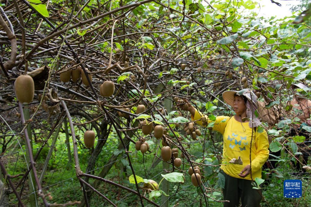 悠悠捕鱼游戏中心
